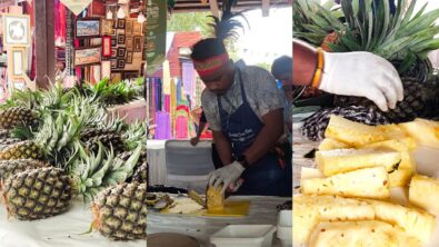 Pineapple Fest: Displaying Meghalaya’s agricultural heritage in New Delhi