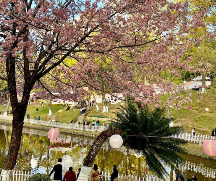 Literary Feast: The Journey of Khasi Literature Through Translation