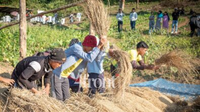 Rhythm of the Fields: How Mawtari-Thaiang Revives Indigenous Farming Traditions