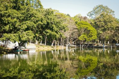 Meghalaya May Have Hit Climate ‘Tipping Point’, Says CM Conrad Sangma