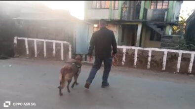 Meghalaya Police Seize Gelatin Sticks, Detonators from Tlongpleng Village