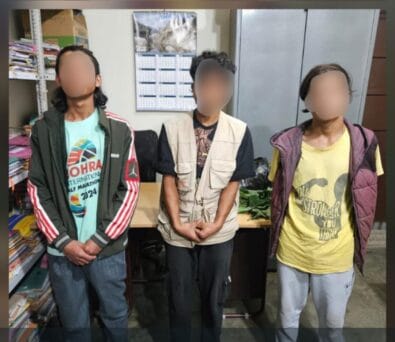 Three Youths Held for Stealing Rifle to Sell to Bird Hunters