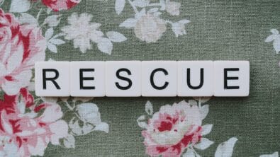 Shillong Police Rescue Four Missing Teenagers from Hotel in Khyndailad
